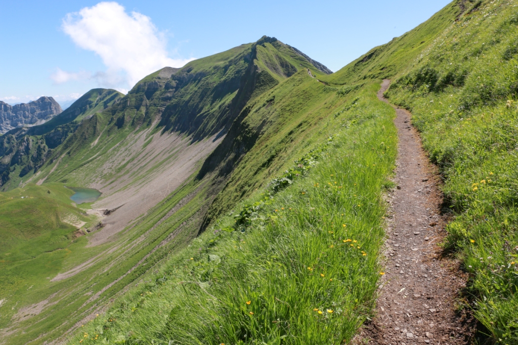 Swiss Family Fun | Brienzer Rothorn - TODAY IS A GOAT DAY