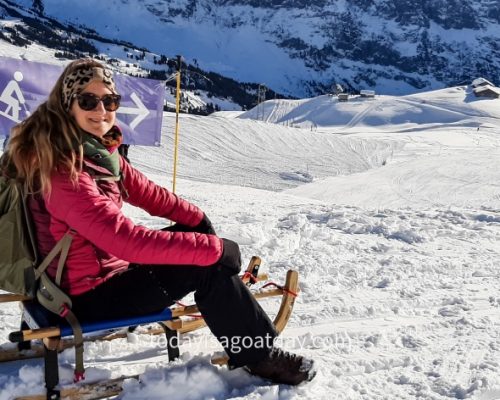 Winter activities in Grindelwald, Sophia sitting on the sleigh, ready to go