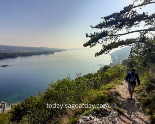 Hiking in Biel, man walking along the vineyard path, view of Lake Biel