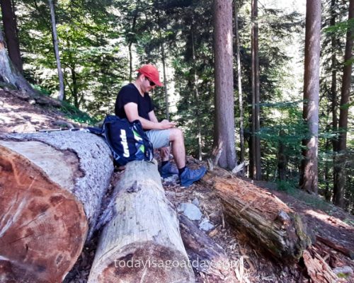 Man sitting on a tree trunk in the forest, taking a break on the way to Pilus Kulm