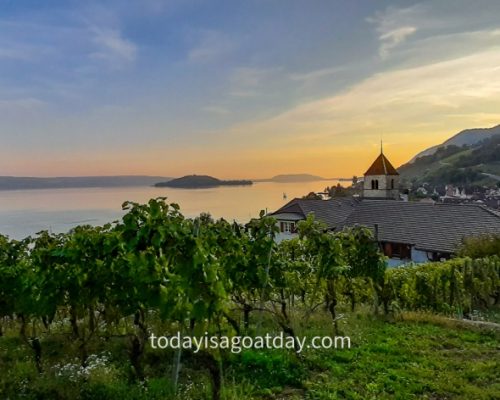 Hiking in Biel, view of Twann from the vineyard path, sunset over Lake Biel