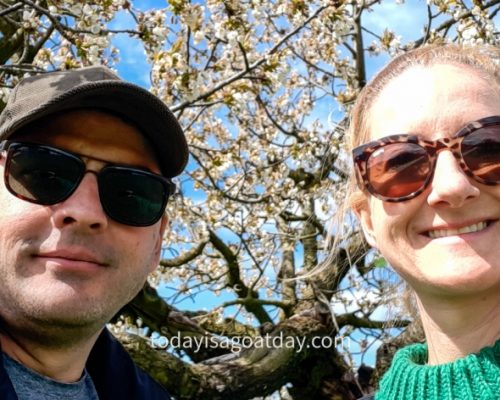 Hiking in canton Aargau,, selfie in front of a cherry tree