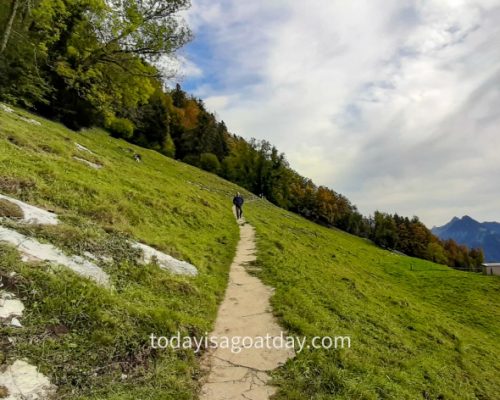 Krisztian walking down towards Villa Honegg on the Way back to Bürgenstock