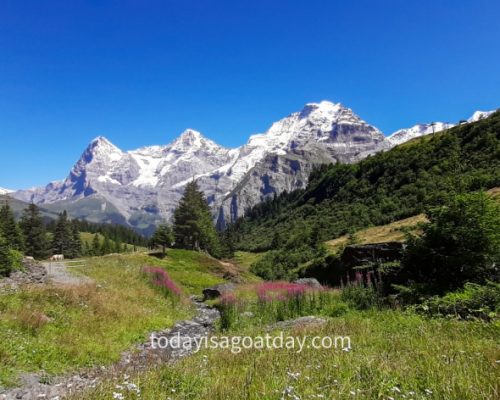 Hiking in the Jungfrau region, mountain path, Eiger, Moönch and Jungfrau in the background