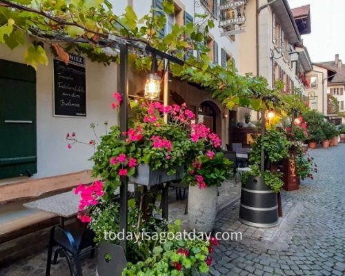 Hiking in Biel, flowers outside a restaurant in Twann