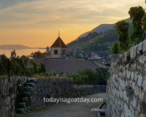 Hiking in Biel, sunset of Twann on the vineyard path