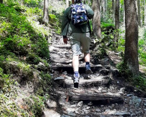 great hike in Appenzell, man hiking through the forest upwards