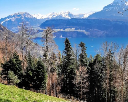 Hiking in canton Schwyz, Lake lucerne views