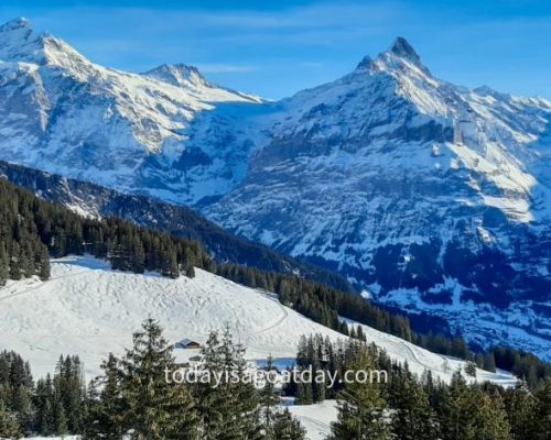 Winter hiking in Grindelwald, panoramic views of Grindelwald