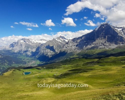 Top hike from Grindelwald , alpine panorama with a lake surrounded by meadows