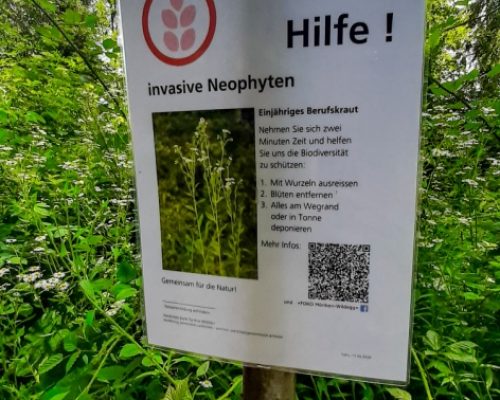 Hiking in Aargau, invasive neophytes plant, warning sign