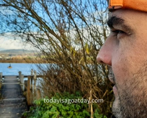 Hiking in canton Zurich, Krisztian overlookin the next landing stage at Pfäffikersee