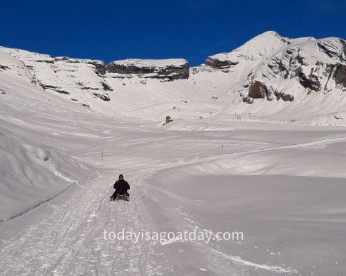 Winter activities in Grindelwald, Krisztian on the sleigh