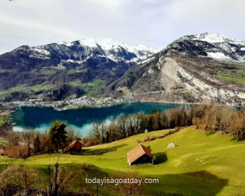 great hiking in glarus, view over green lake Walen, churfirsten range in the background