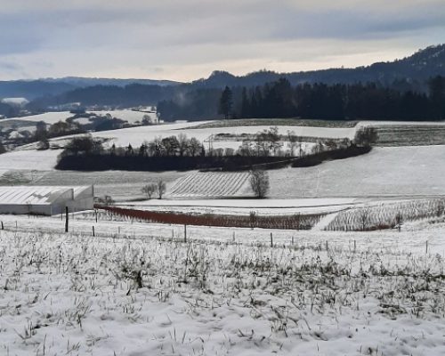 activity in canton Aargau, view of snowy landscape