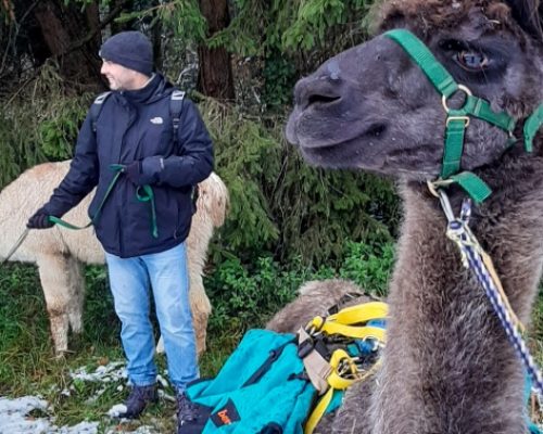 activity in canton Aargau, Lama and Krisztian looking to the left