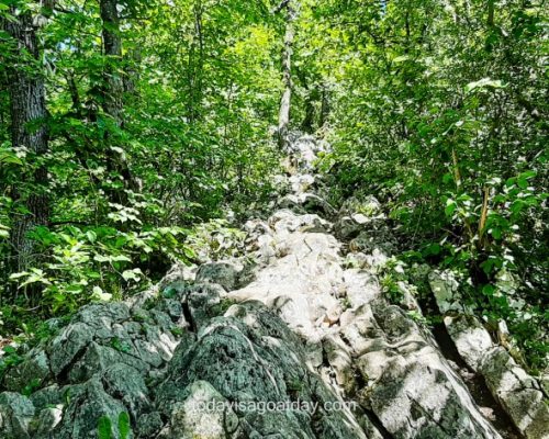 Lägern Ridge Hike in Baden, a rocky trail upwards with trees to both sides