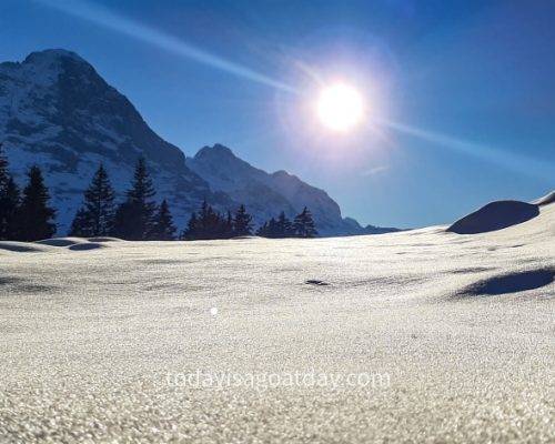 Winter hiking in Grindelwald, view of the magnificent Eiger mountain