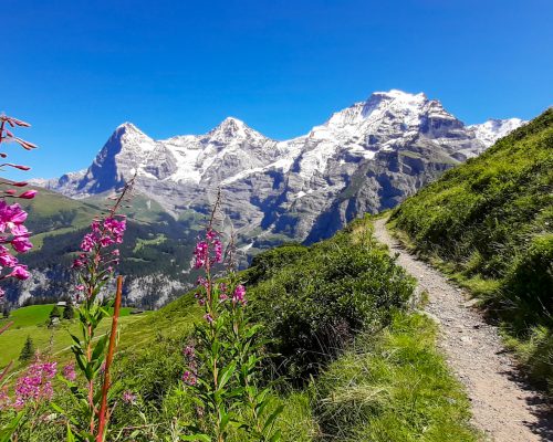 Hiking in the Jungfrau region, mountain path, Eiger, Moönch and Jungfrau in the background