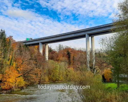 Hiking in St. Gallen, modern bridge construction surrounded by autumn colours