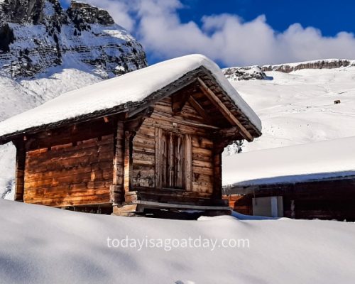 Winter hiking in Grindelwald, snow-covered mountain hut