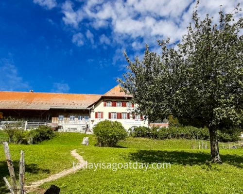 Bergwirtschaft Allerheiligenberg, restaurant surrounded by green lawns