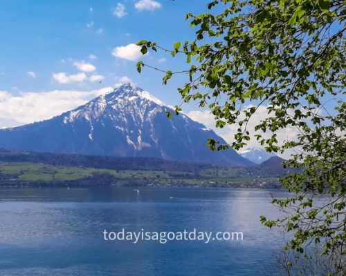 Hiking along the Jacob`s trail , view at Niesen mountain