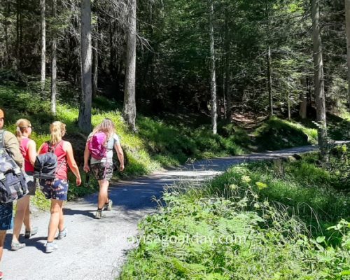 Hiking in Graubuenden, goup of friends walking through the forest