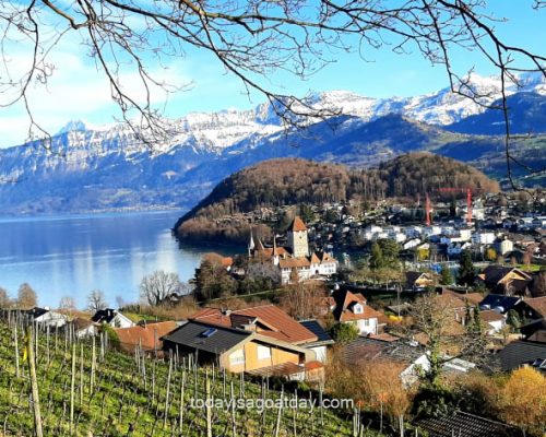 Scenic walking tour Spiez, panoramic views over vineyards, town, Lake Thun and Switzerland Alps