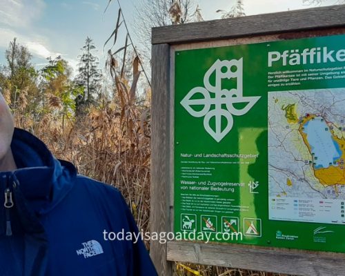 Hiking in canton Zurich, Krisztian standing beside Pfäffikersee information baord