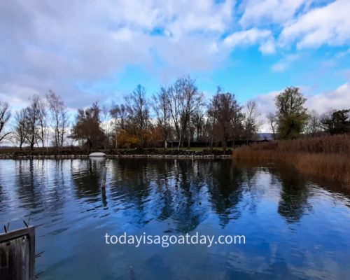 Hiking in canton Zurich, mirrored image of the lake shores