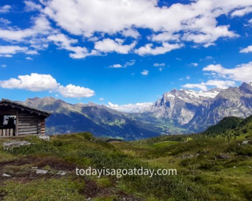 Top hike from Grindelwald, mountain hut with a cow shadow inside