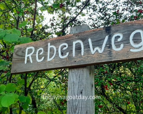 Hiking in Biel, Rebenweg signage