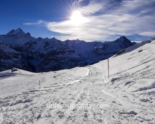 Winter activities in Grindelwald, sun and blue sky above the snow covered sledging run