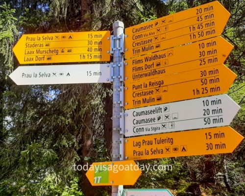 Hiking in Graubuenden, signage oard with lots of yellow signs