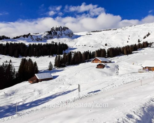 Winter hiking in Grindelwald, Bussalp landscape, sno covered lawns and mountain huts