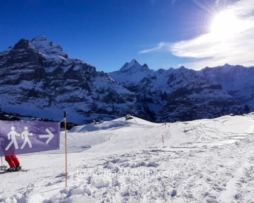 Winter activities in Grindelwald, the sledging run on Grindelwald First