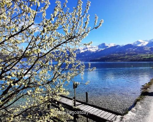 Spiez Strandweg along Lake Thun towards Faulensee