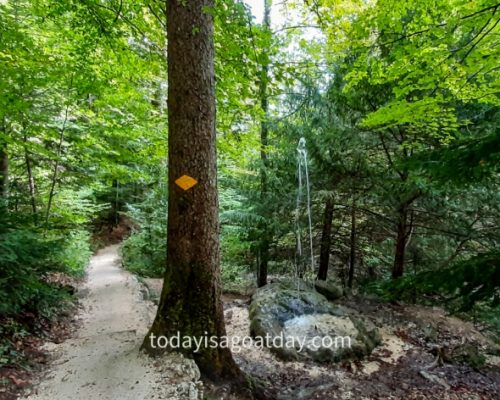 Hike in Olten, forest path leadding back to Hägendorf starting point