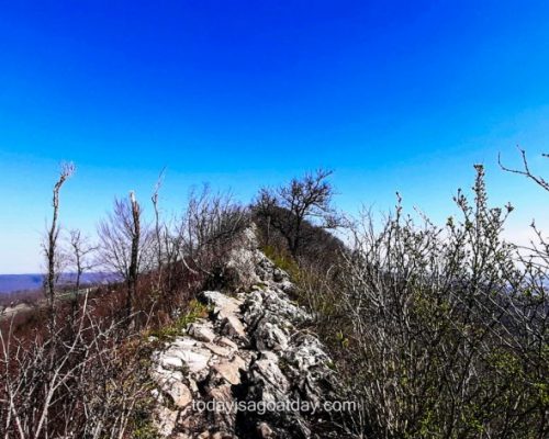 Lägern Ridge Hike in Baden, the exposed ridge path