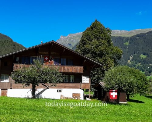 Top hike from Grindelwald , Swiss chalet