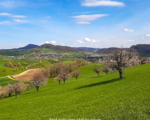 Hiking in canton Aargau,Cherry blossom trail Frick