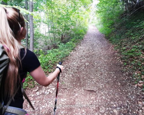 Walking in Fischingen, blong girl with walking poles on forest road, Walk and Hike in Fischingen