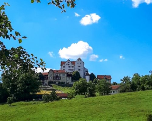 Hiking in Aargau, Wildegg castle