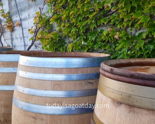 Close-up of wine barrels