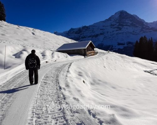 Winter hiking in Grindelwald, Krisztian walking along the winter path towards a mountain hut